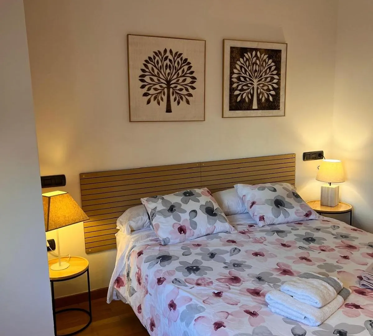 Apartamento Piso Centrico Y Acogedor Figueras